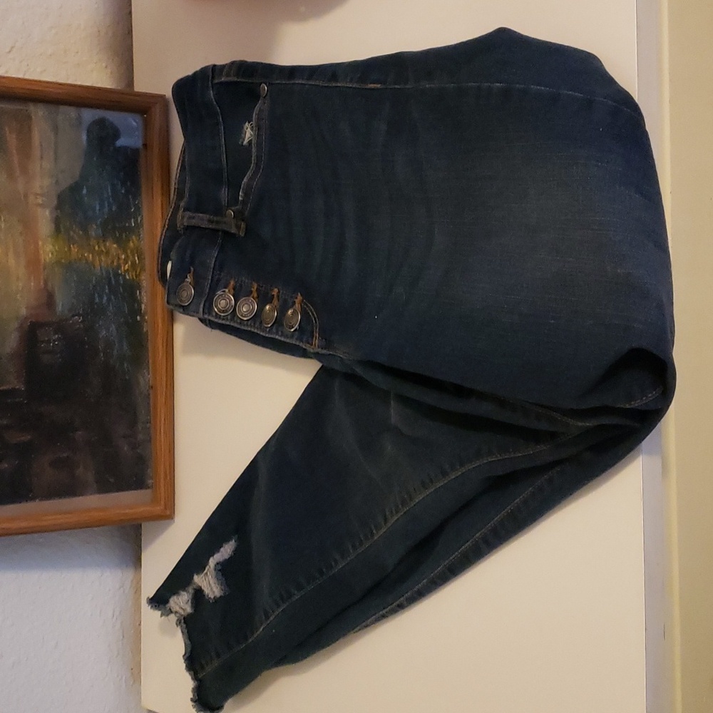 Rosa curvy sofia vergara jeans